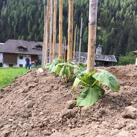 Agritur Ruatti Farm stay *