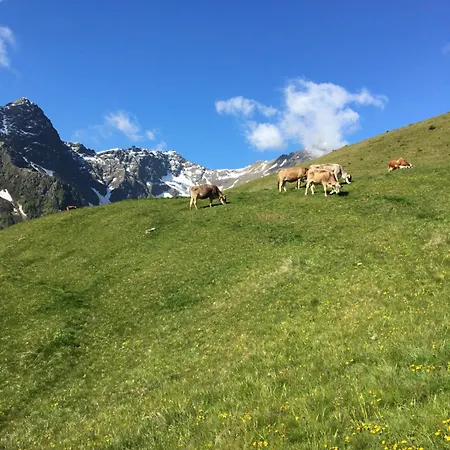 Agritur Ruatti Farm stay Rabbi